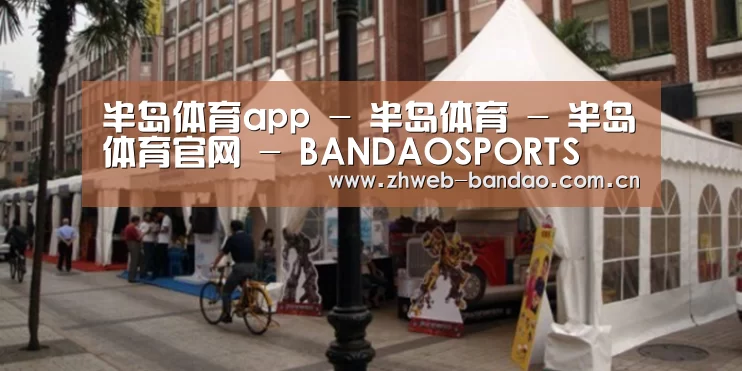 案例标题九