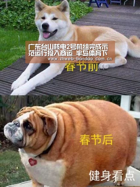 广东台山核电2号机组完成示范运行投入商运_半岛体育下载(图3) 半岛体育下载